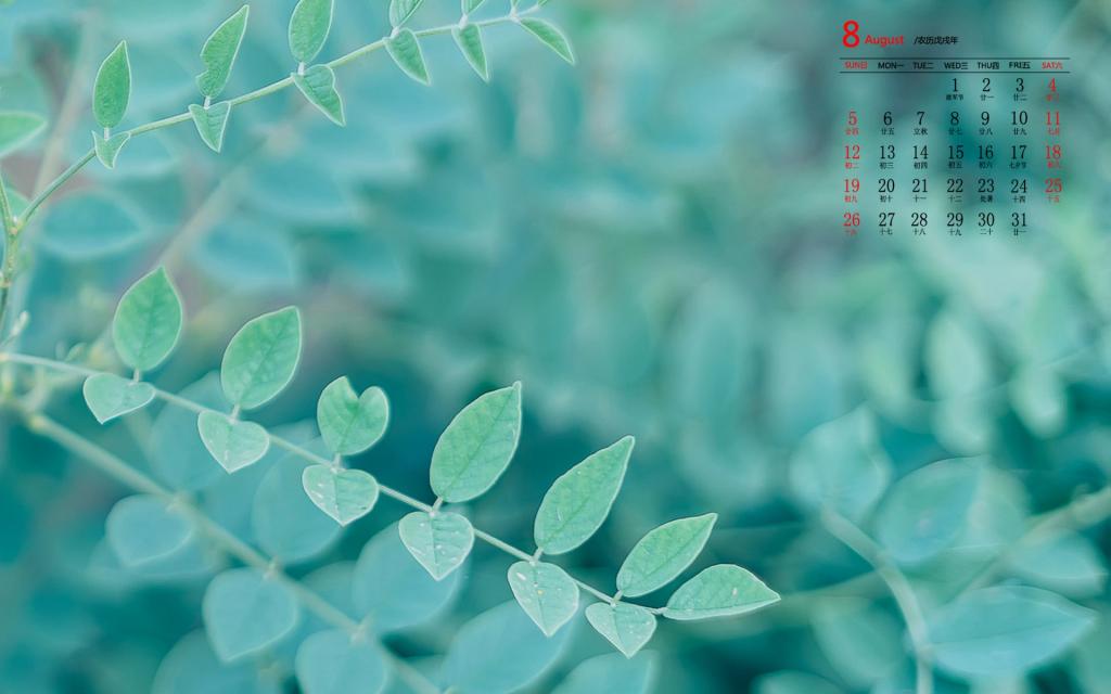2018年8月小清新绿植唯美写真日历