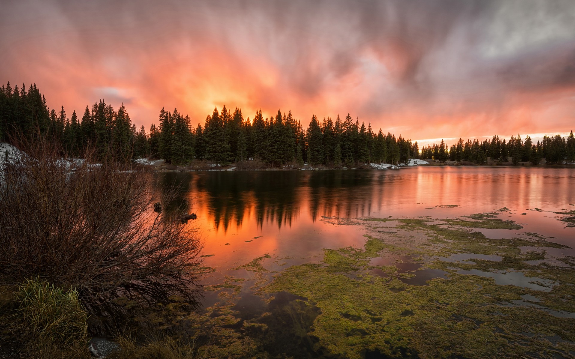 爱上那耳喀索斯的倒影