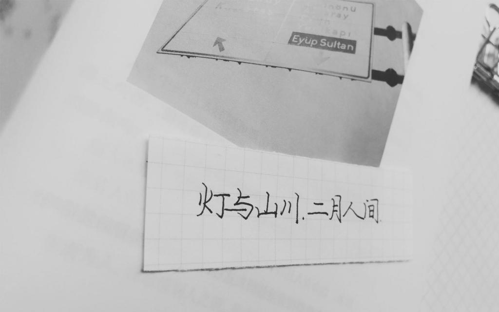 今日份手摘2020心愿