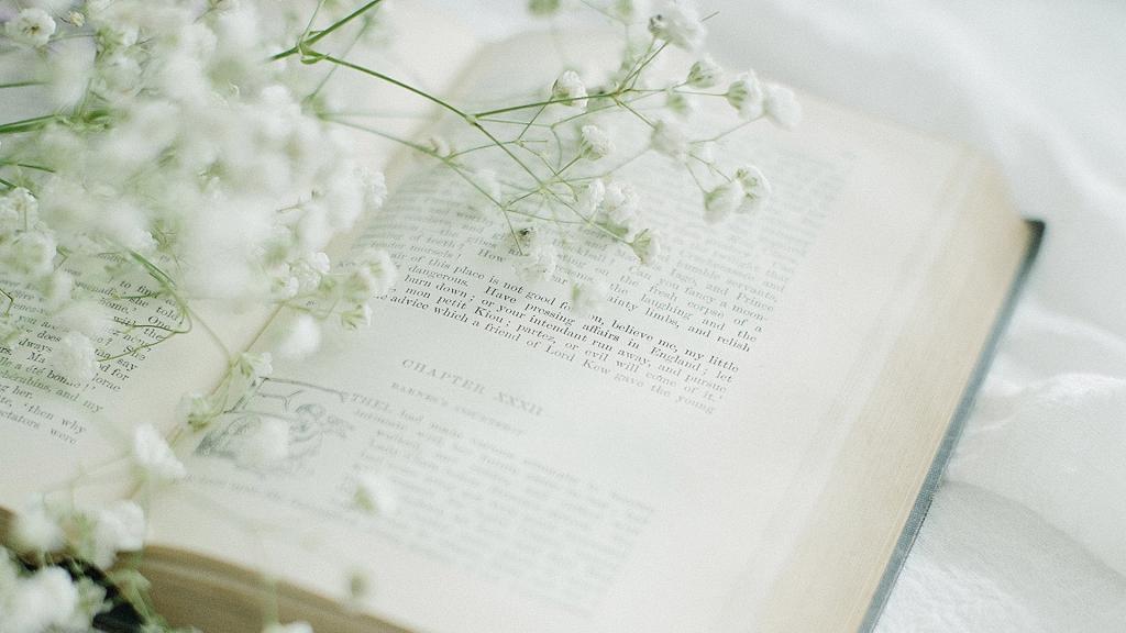 室内唯美小清新静物