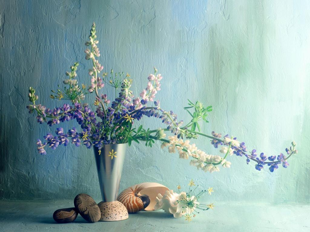 落英缤纷鲜花