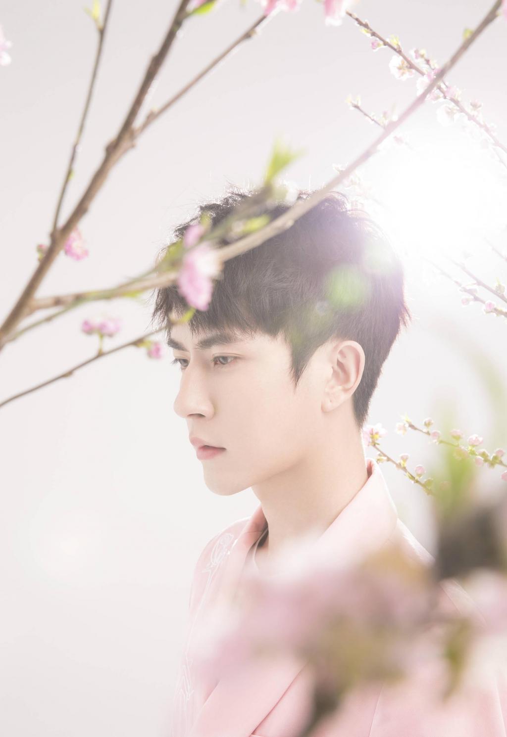新晋小鲜肉于朦胧樱花树下唯美写真