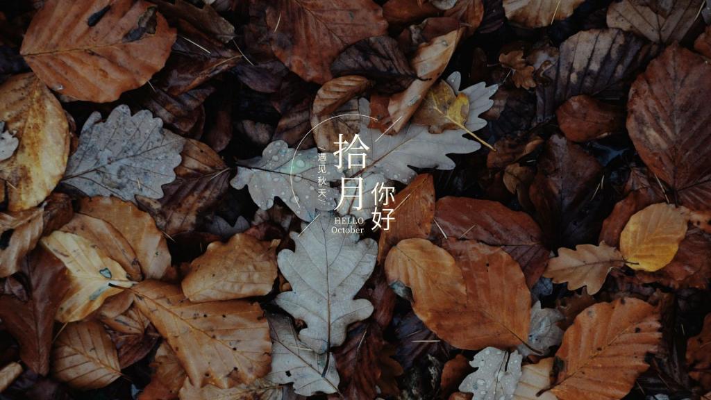 遇见秋天,十月你好