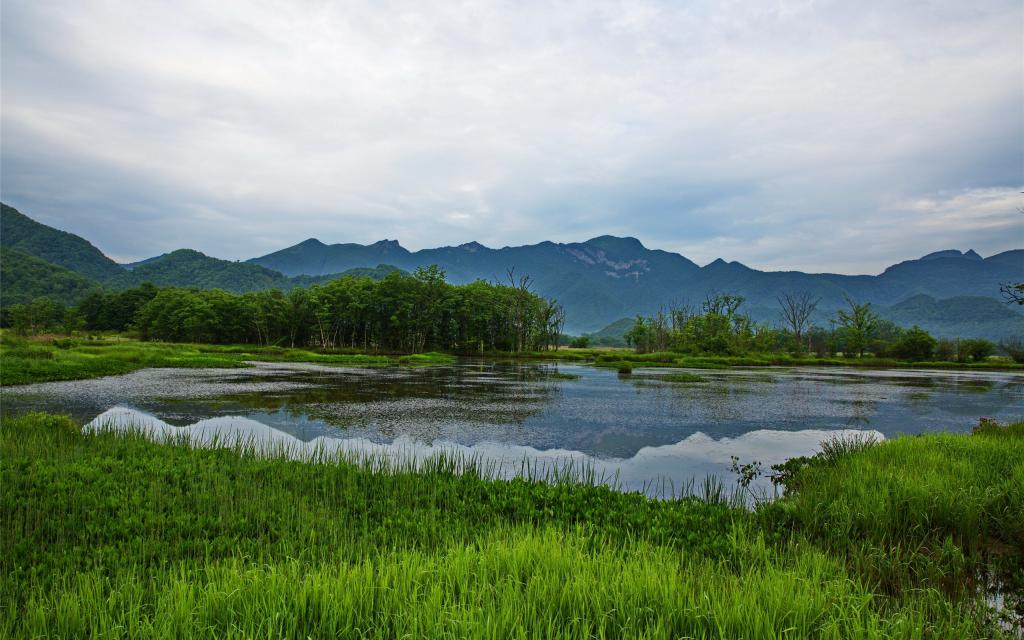 神农架大九湖国家湿地公园