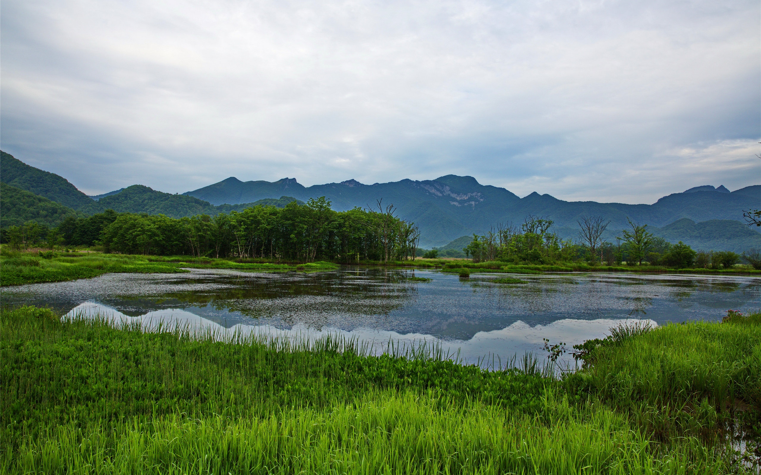 神农架大九湖国家湿地公园