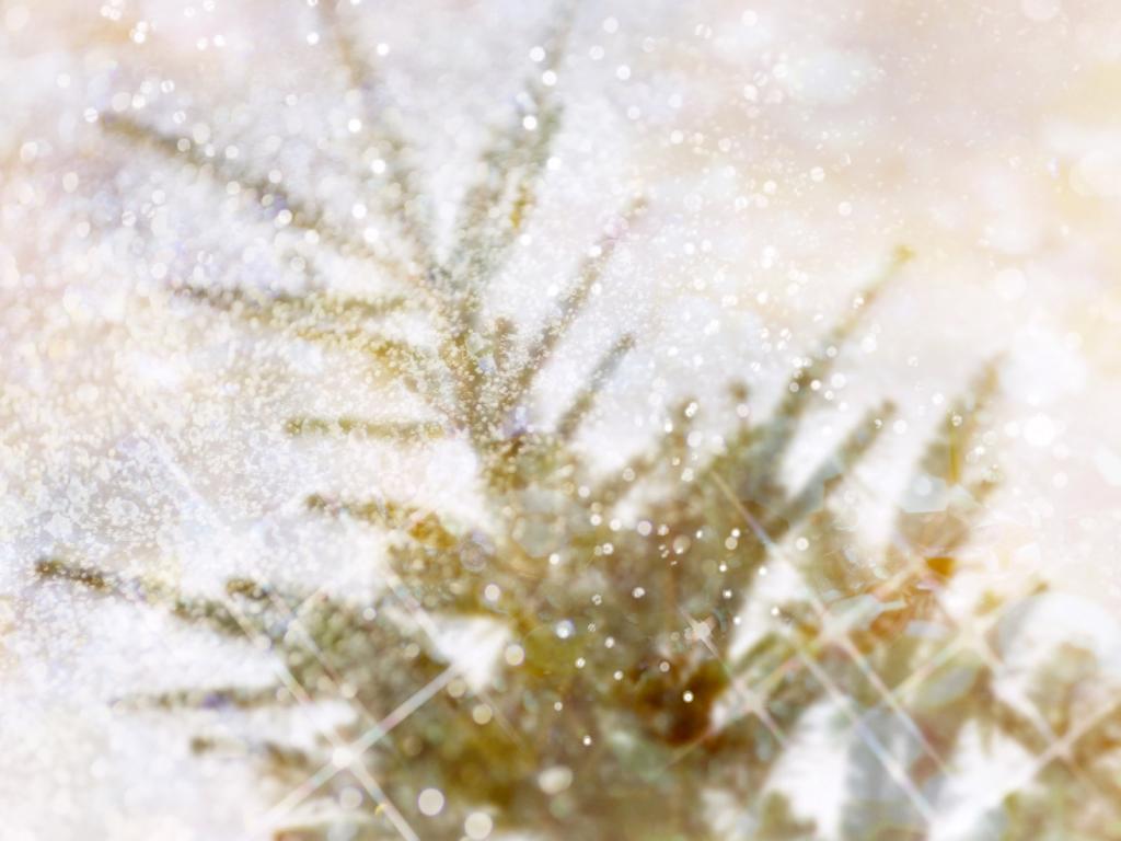 唯美的炫彩合成