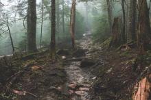 山林中的幽静小路