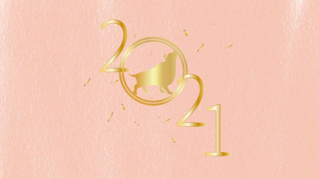2021牛年简约数字背景图