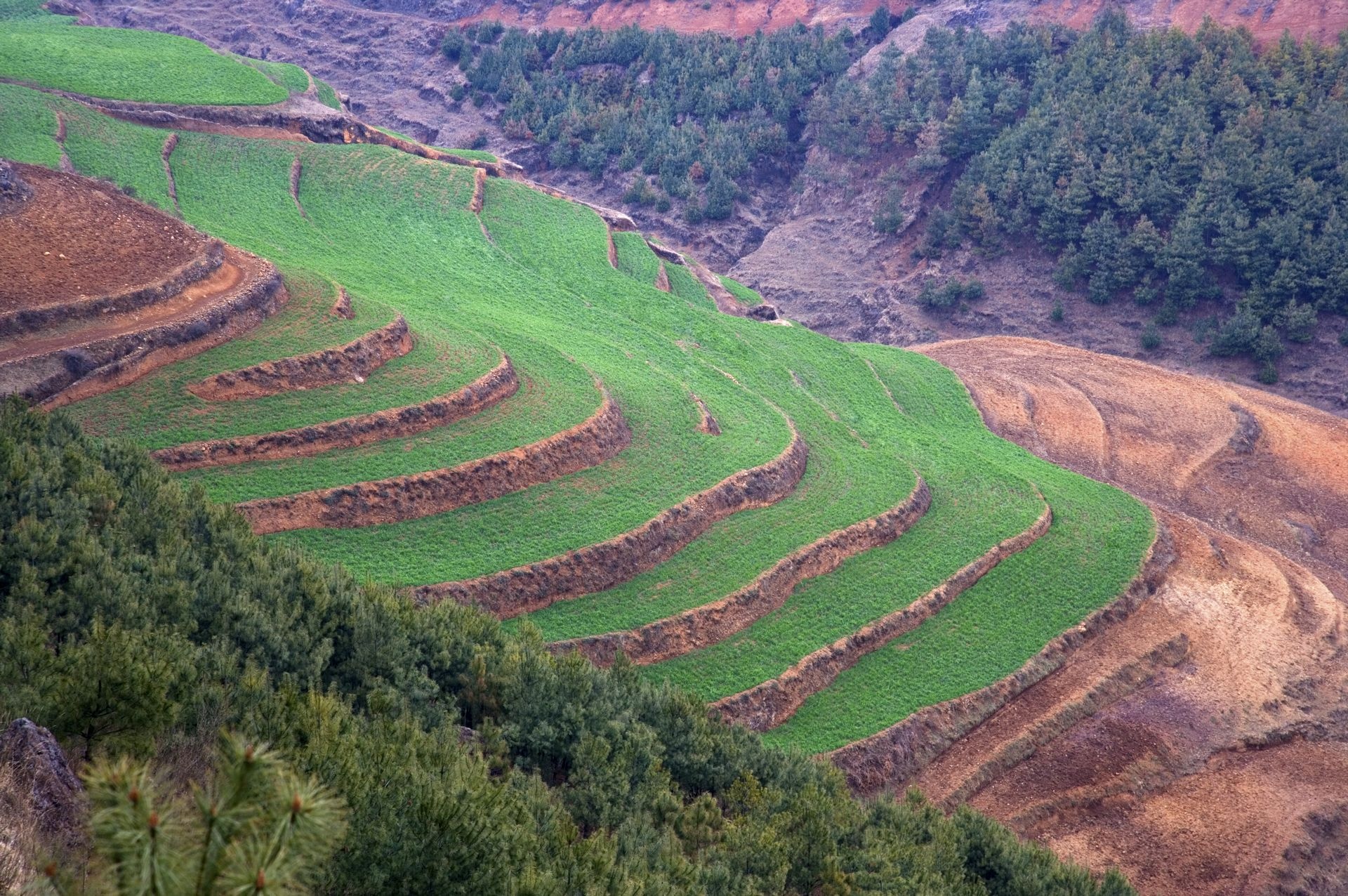 云南大山深处的红土地耕地