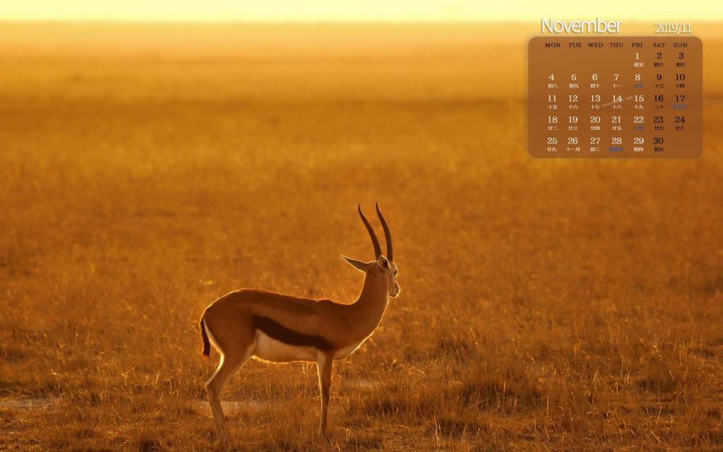 2019年11月金色非洲大草原日历