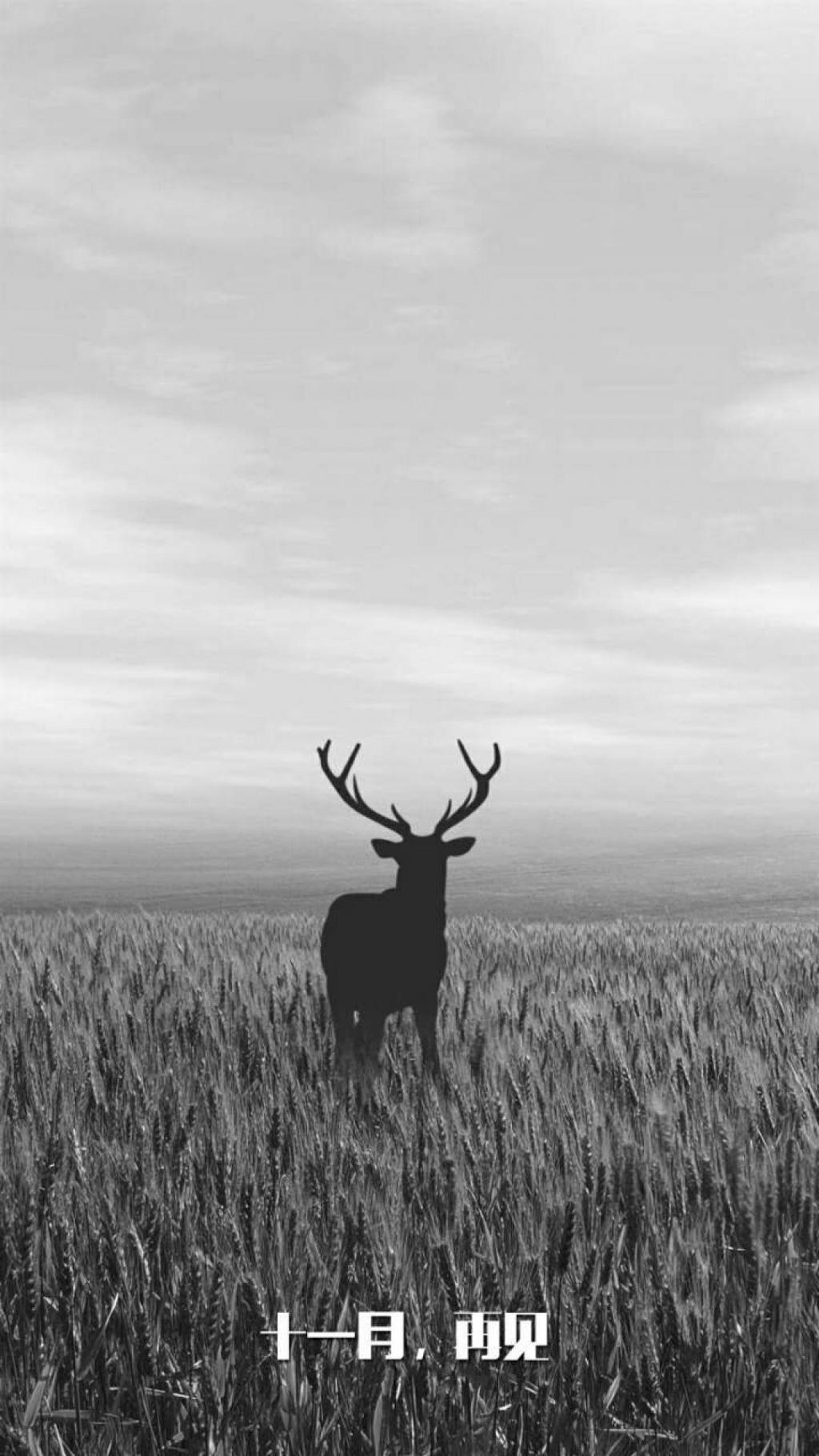 和十一月告别吧
