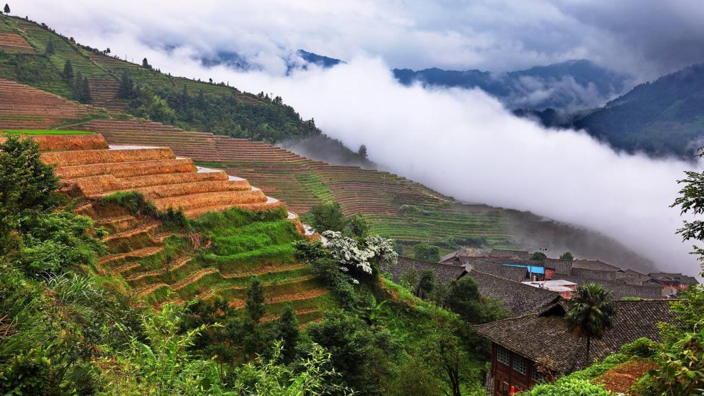 龙脊梯田平安寨