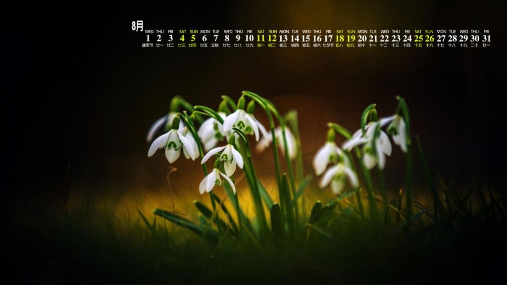 2018年8月楚楚动人的雪滴花写真日历