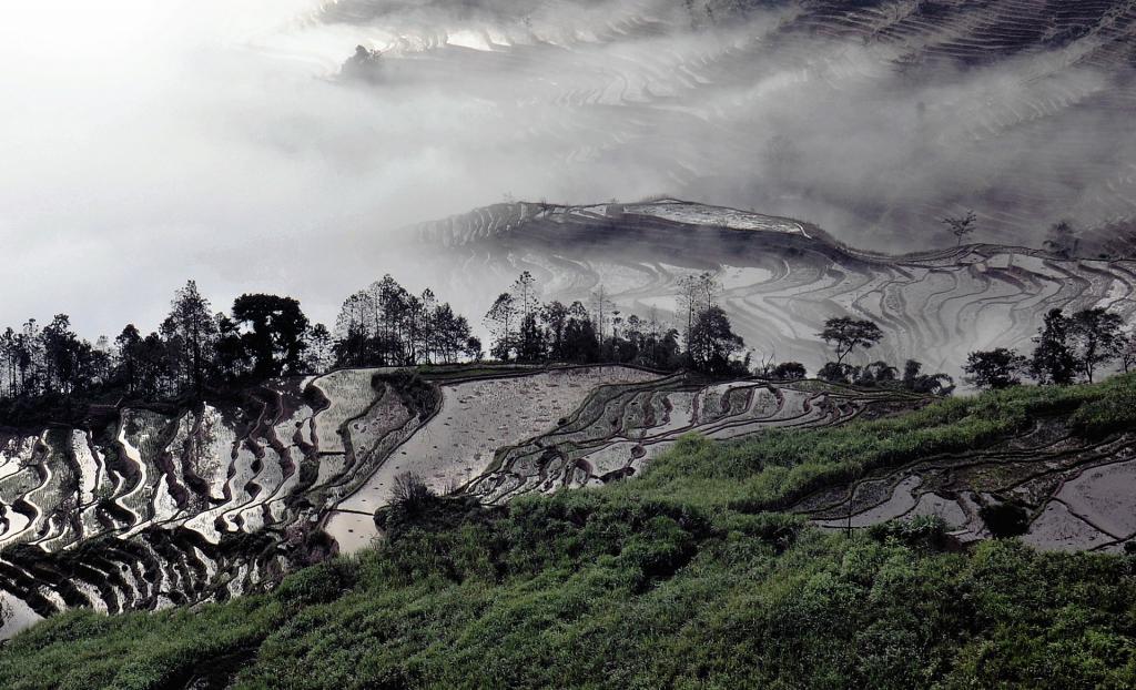 哈尼梯田唯美风光