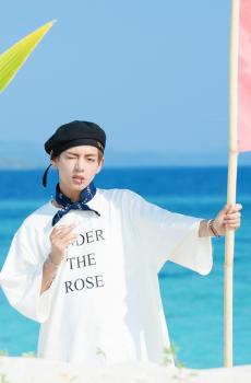 防弹少年团BTS夏日party-1