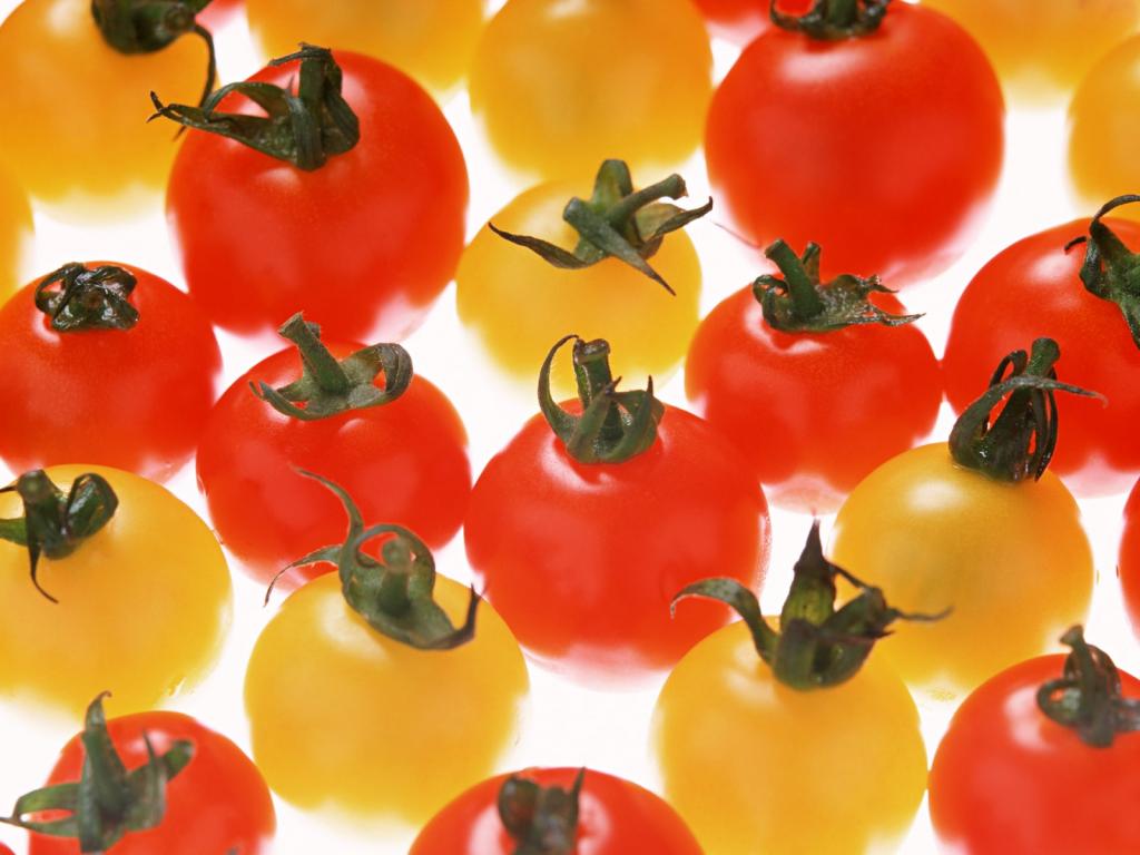 营养丰富的蔬菜写真