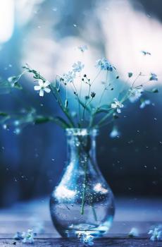 唯美色调清新花卉-7