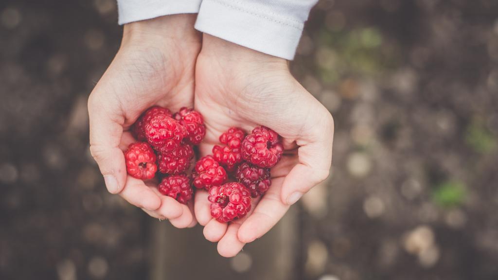 红艳甜美的树莓唯美图片