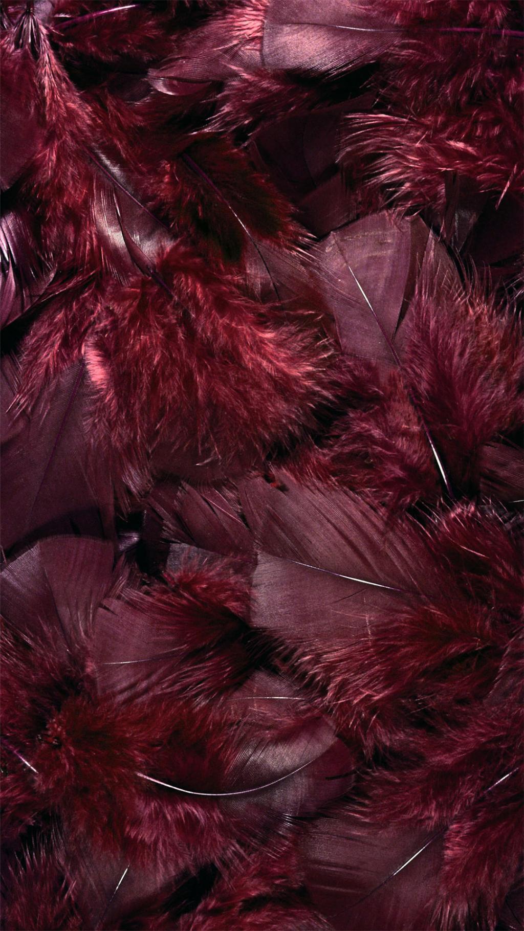 炫彩羽毛超无水印手机壁纸 第一辑