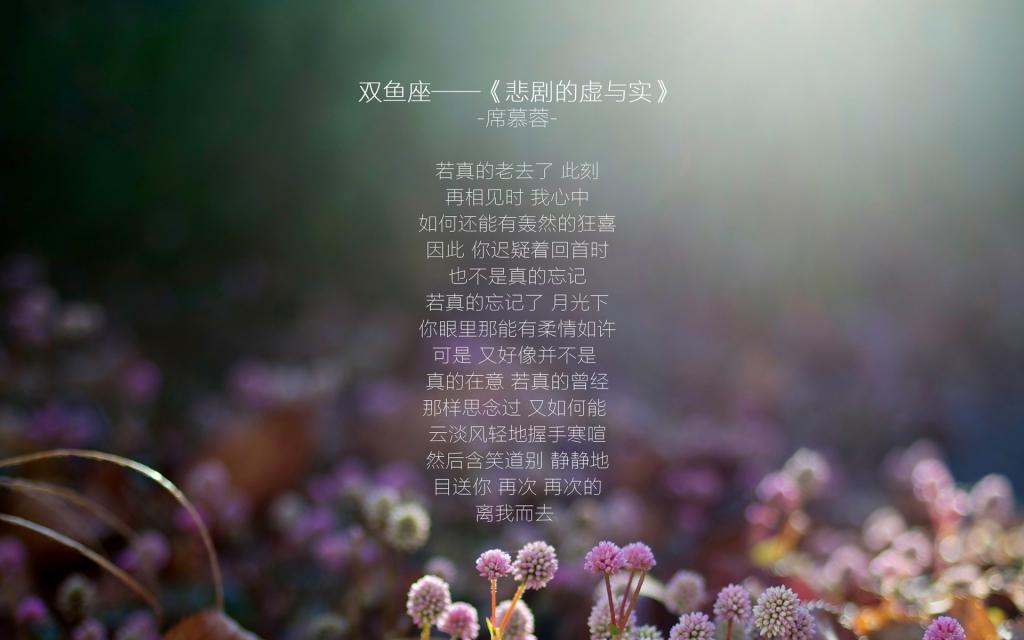 唯美十二星座双鱼座图