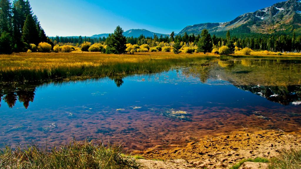 美国的加州美到让人惊叹