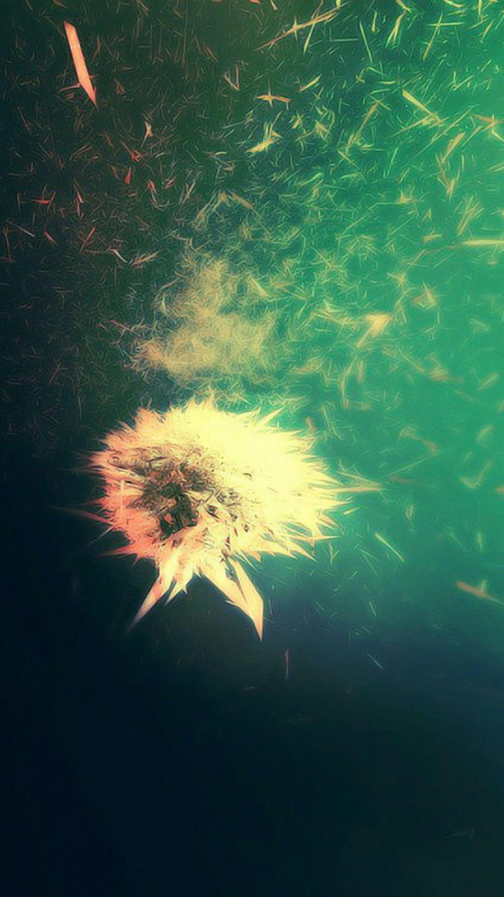 高清植物风景手机壁纸图片