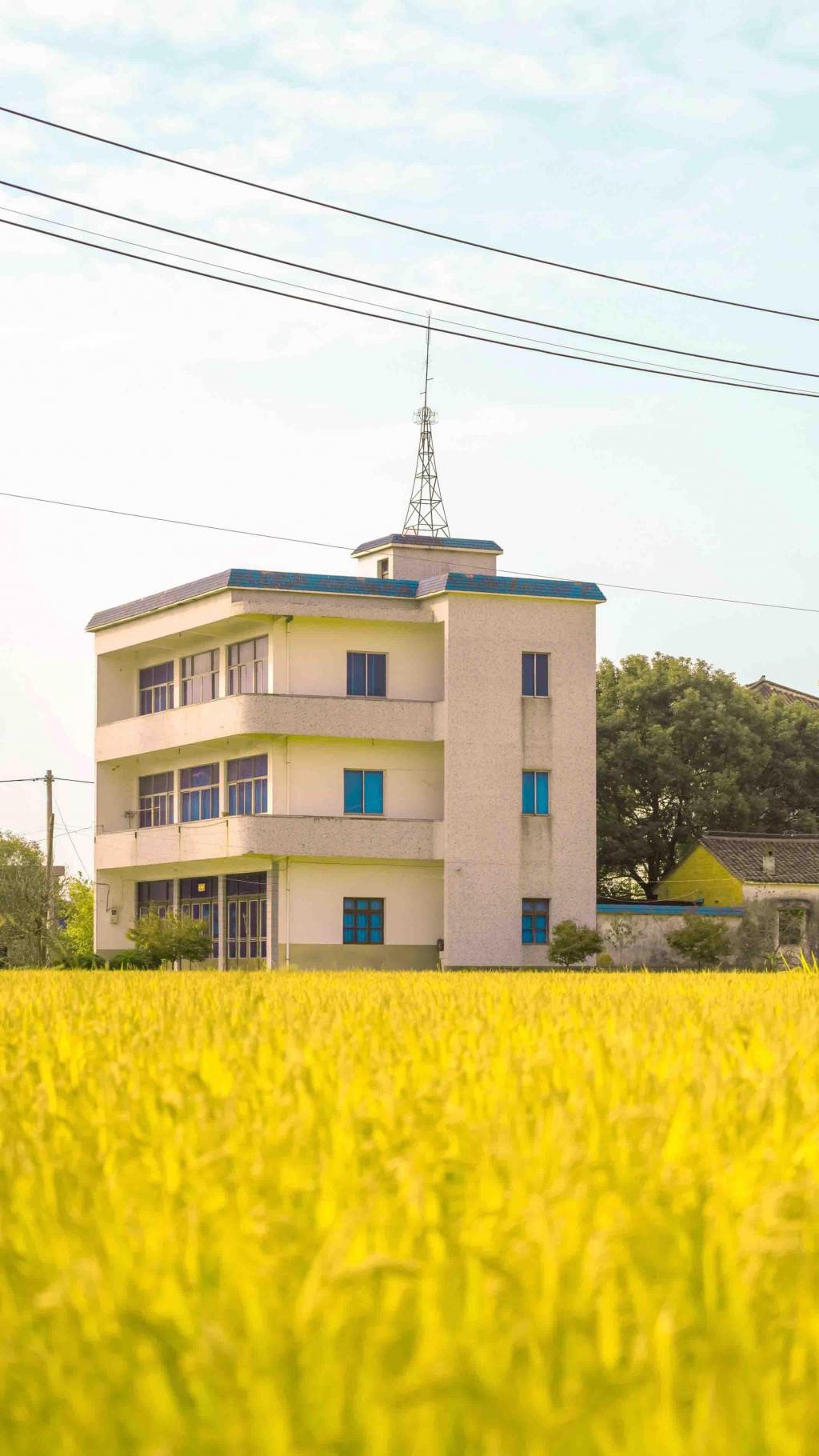 秋天丰收季唯美迷人风光