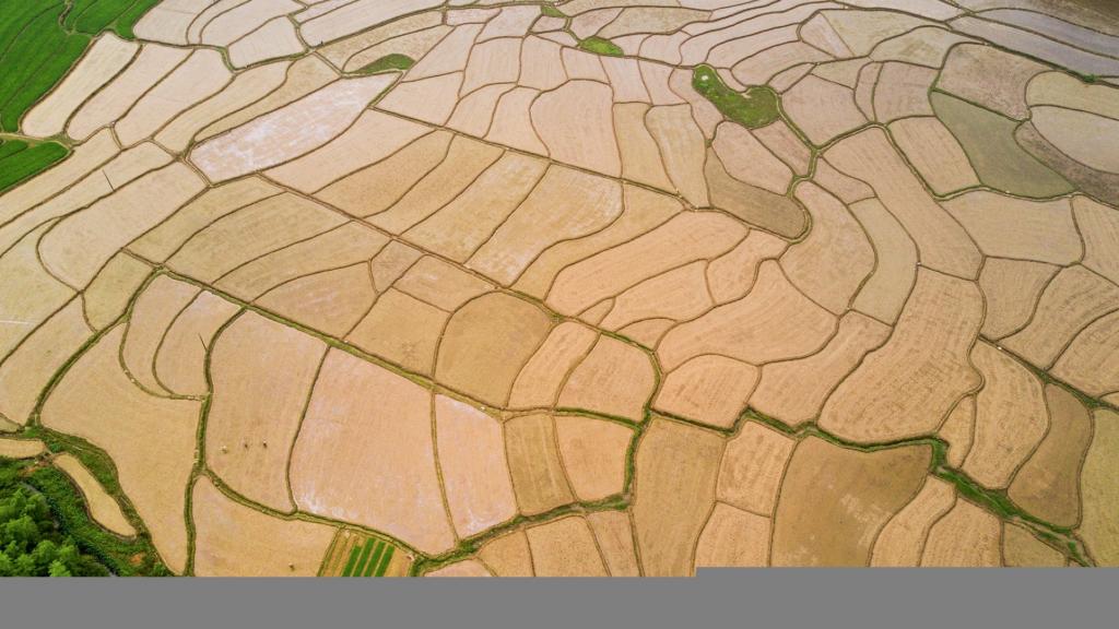 航拍田野清新护眼风景