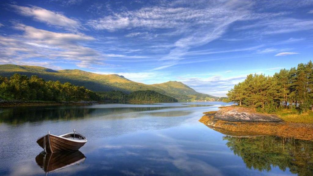 绿色护眼自然美景