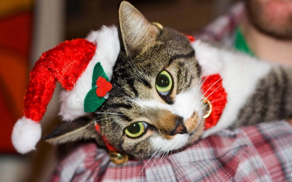 浪漫的圣诞节日