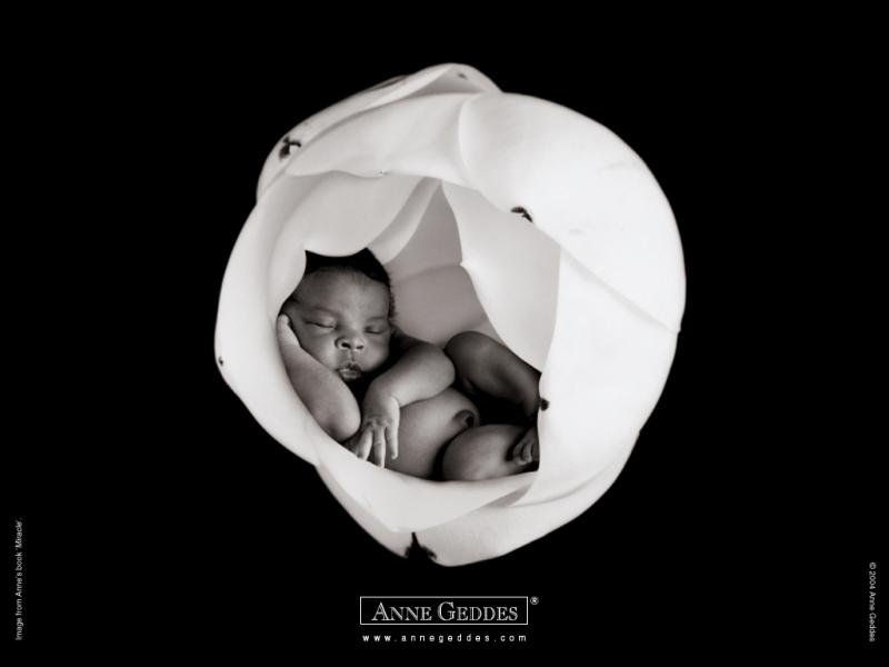 经典创意宝贝设计