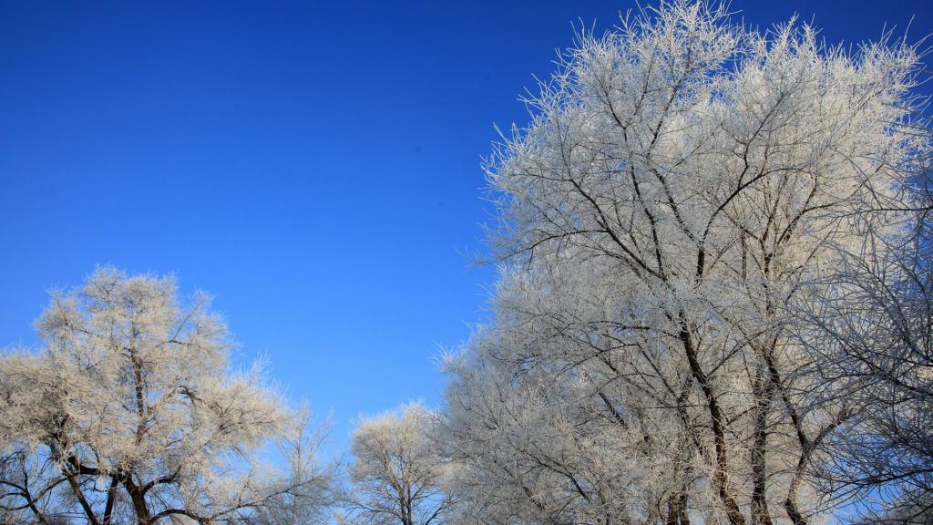 吉林雾凇岛风景
