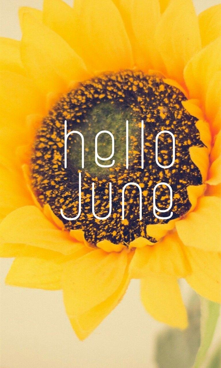 创意唯美你好六月