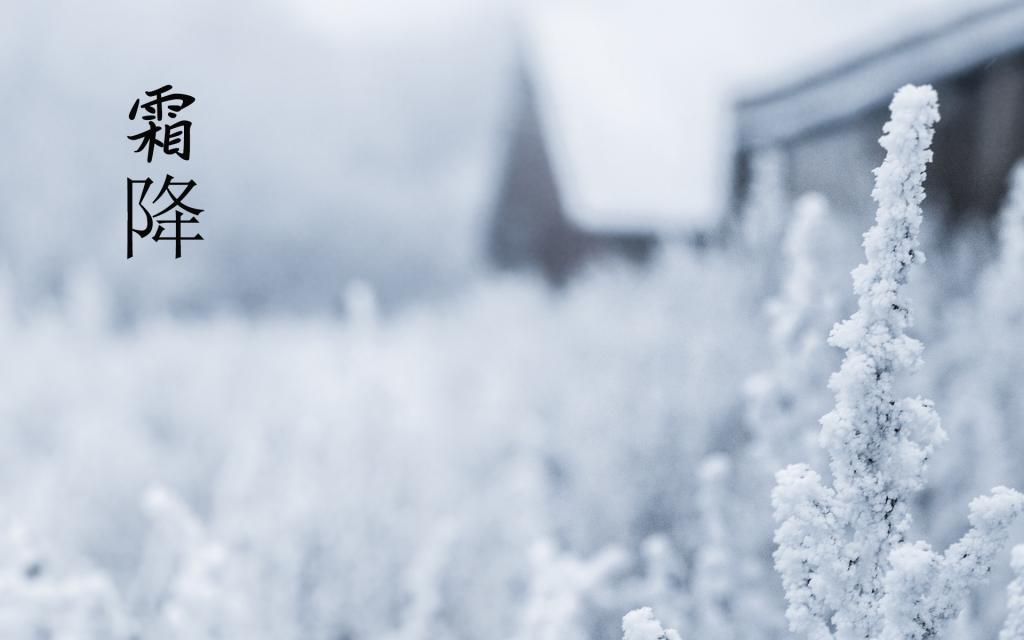 霜降到了,愿一切都好