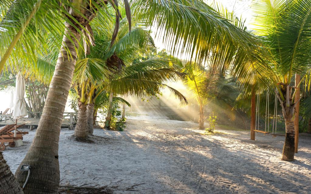 夏日清凉美丽沙滩