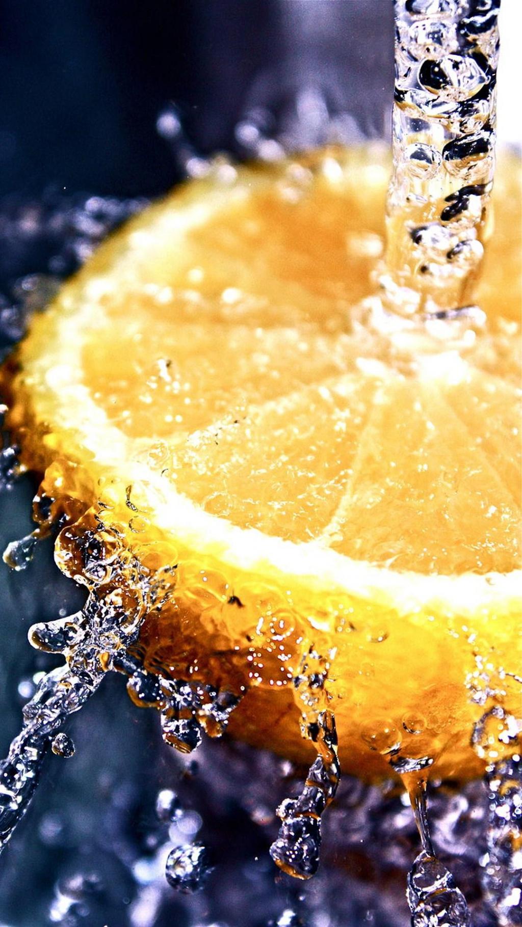 高清植物风景手机壁纸图片