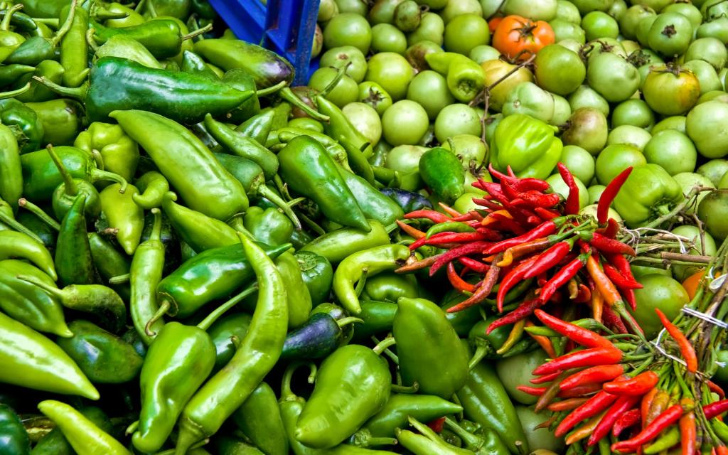 新鲜绿色有机蔬菜