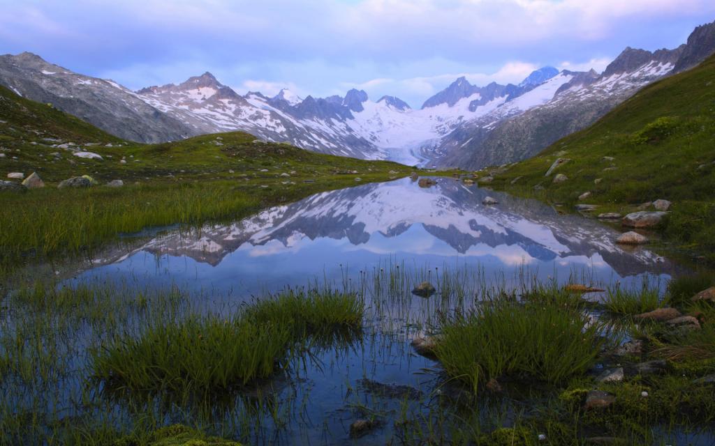 总有一些美妙风景