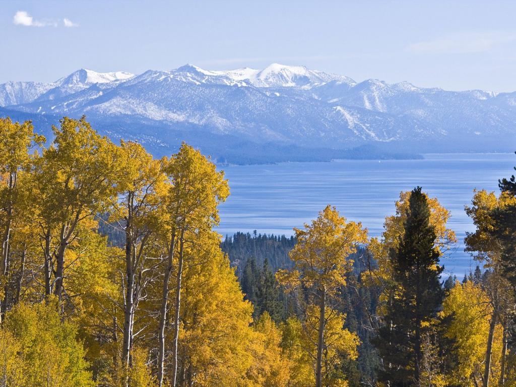 风景不转时，我们的心境便得转