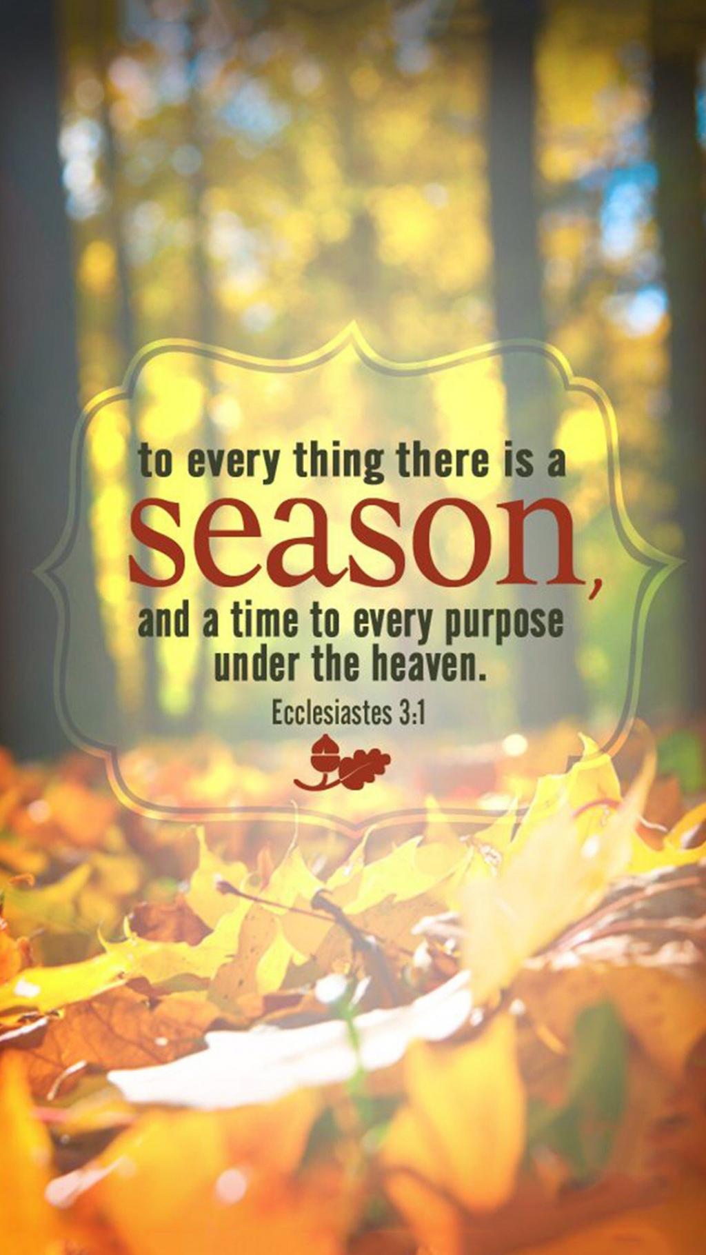 创意英文文字风景