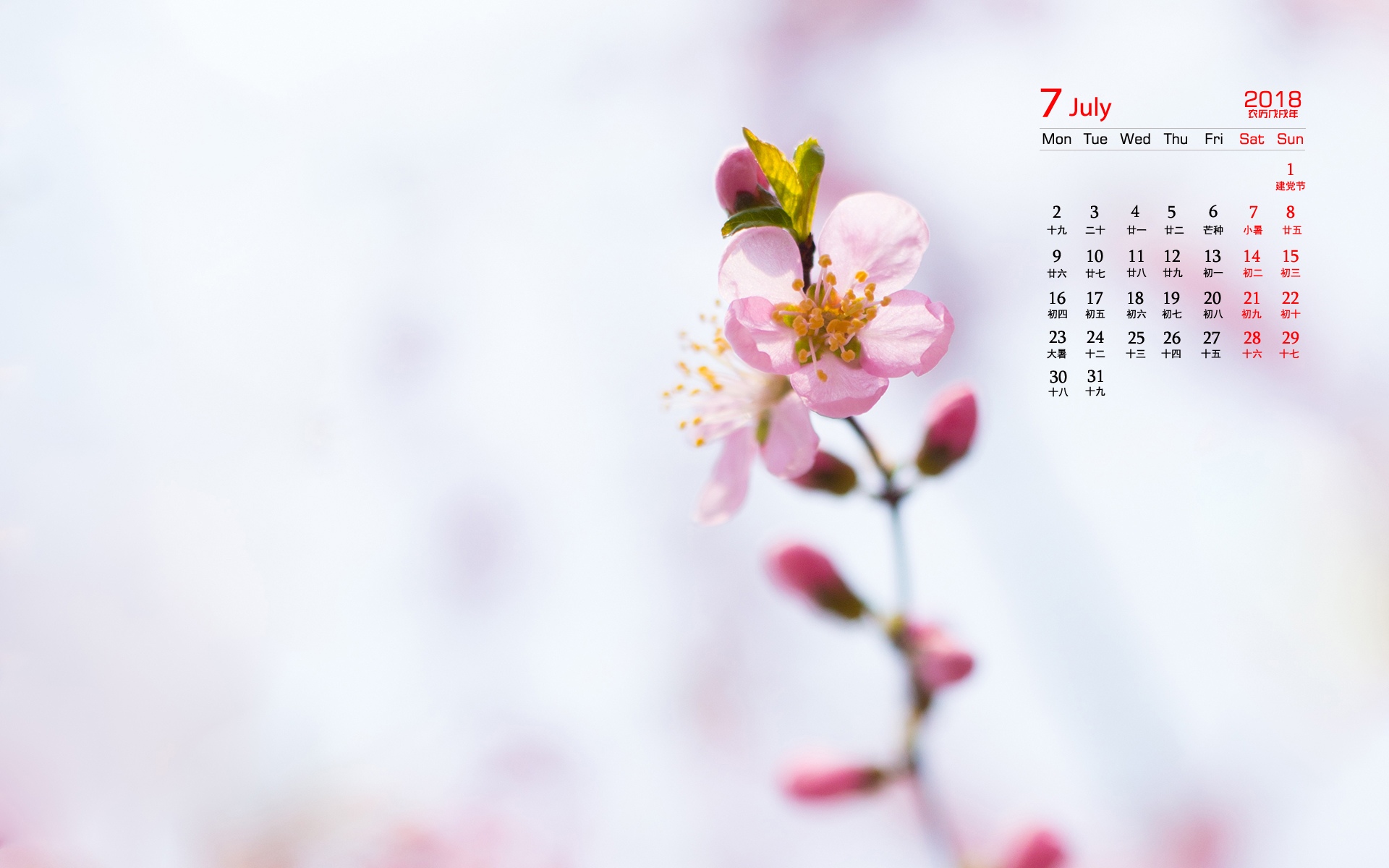 2018年7月桃花唯美日历