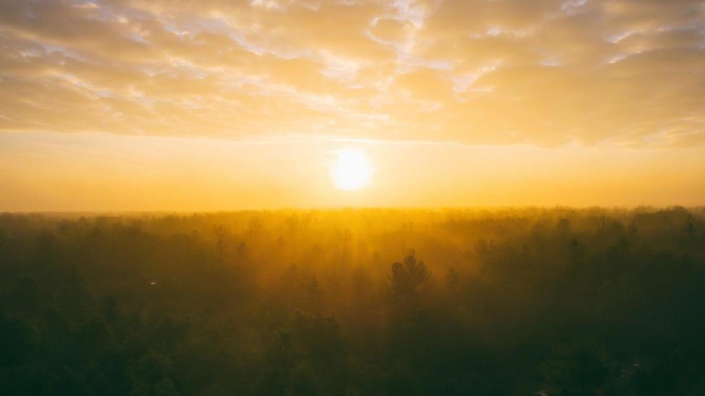 向着希望的太阳
