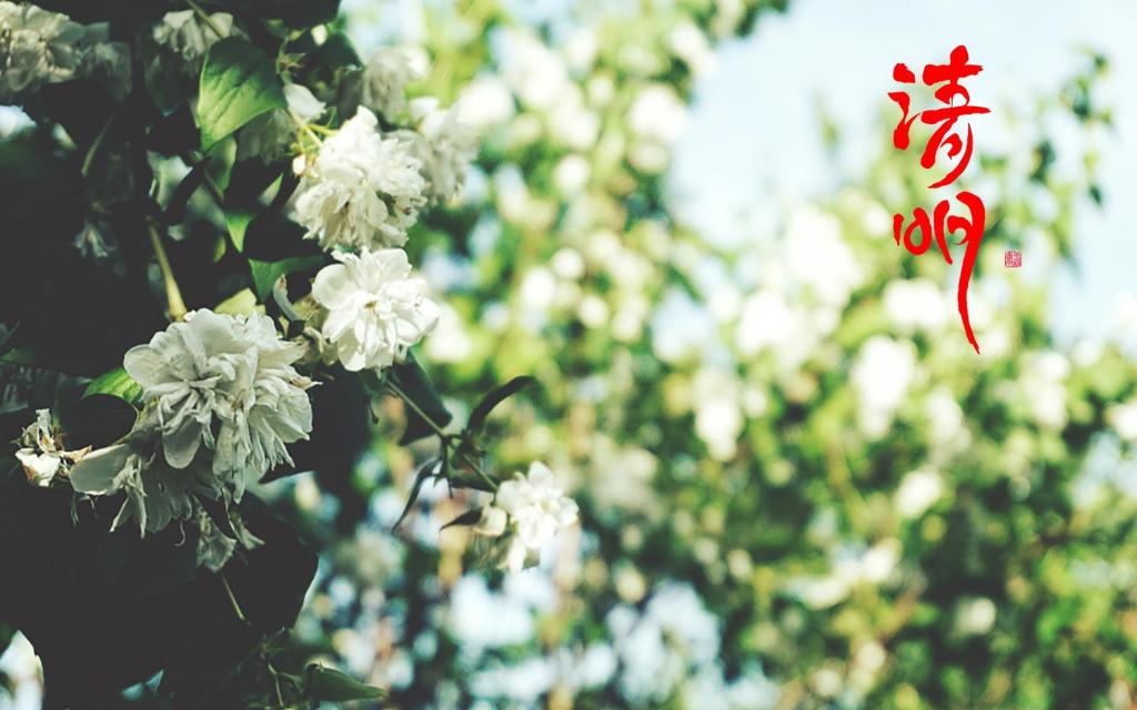 清明是踏青好时节