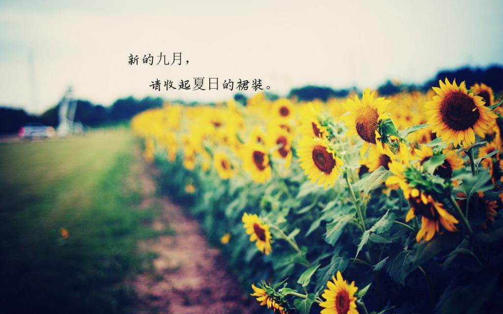 再见八月,你好九月