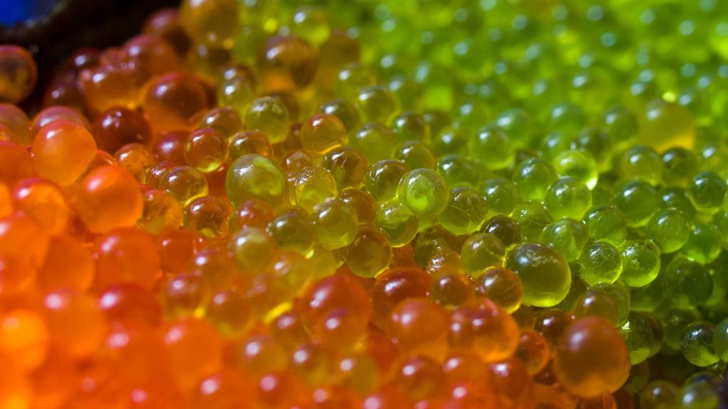 垂涎欲滴的寿司