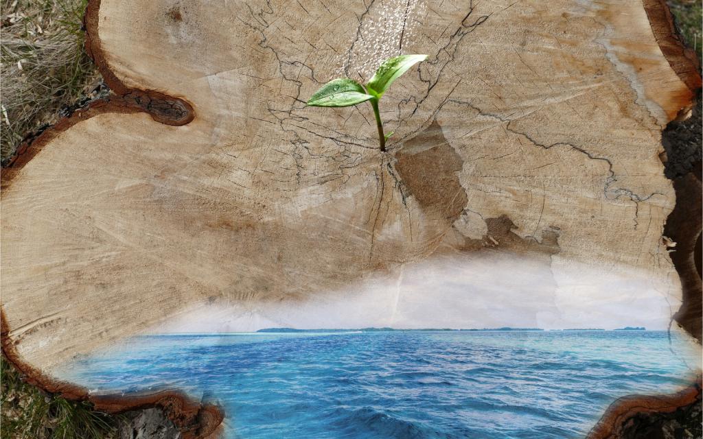 保护环境设计素材