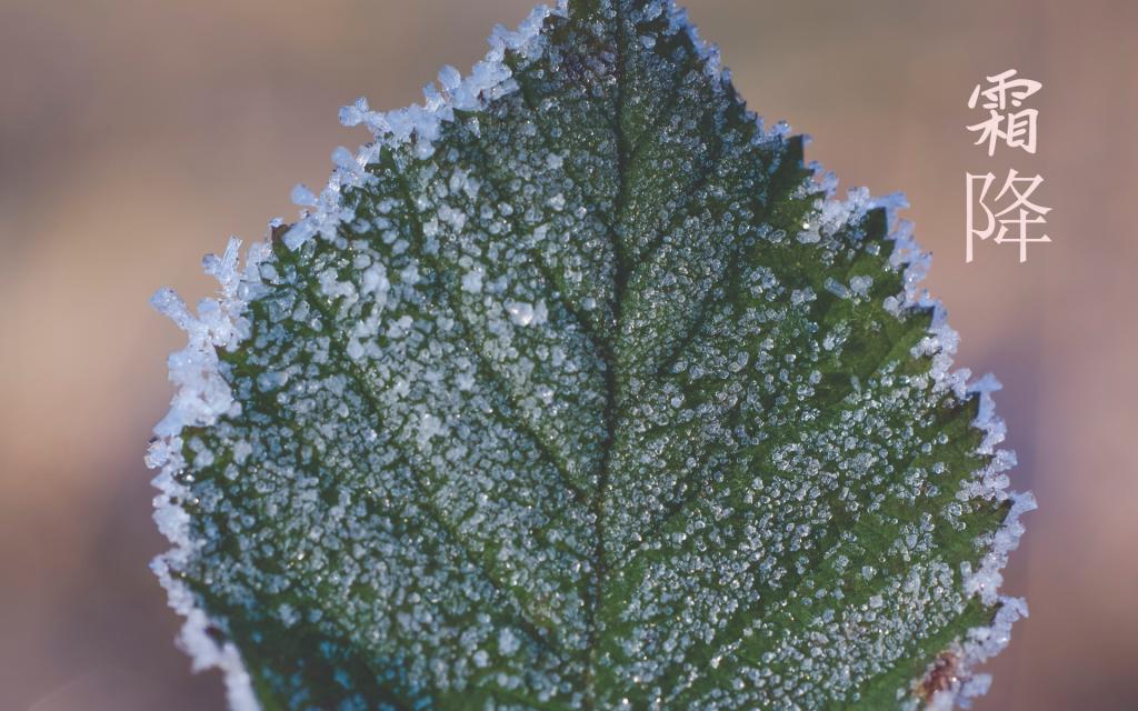 霜降到了,愿一切都好