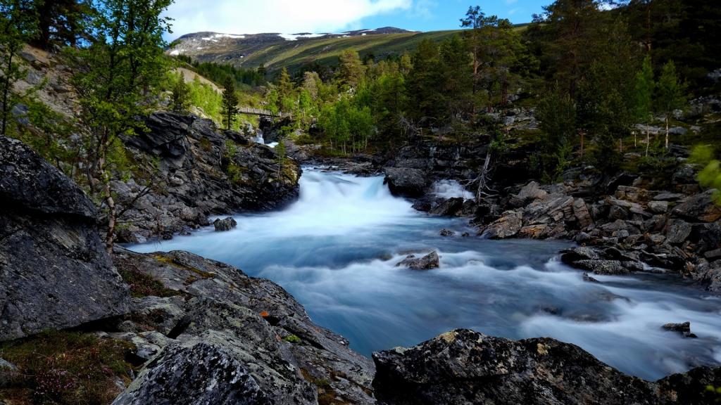在我梦里的挪威