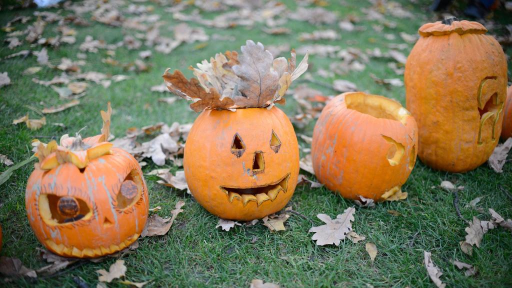 万圣节南瓜素材