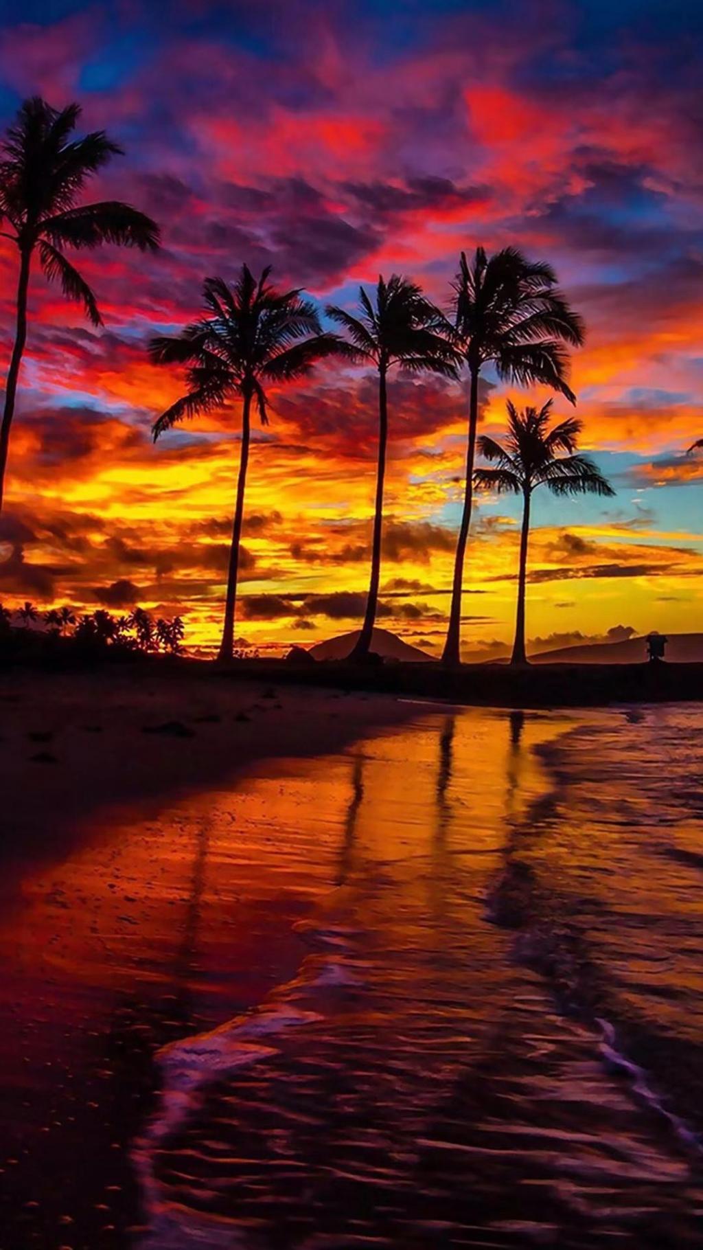 唯美的夕阳风光